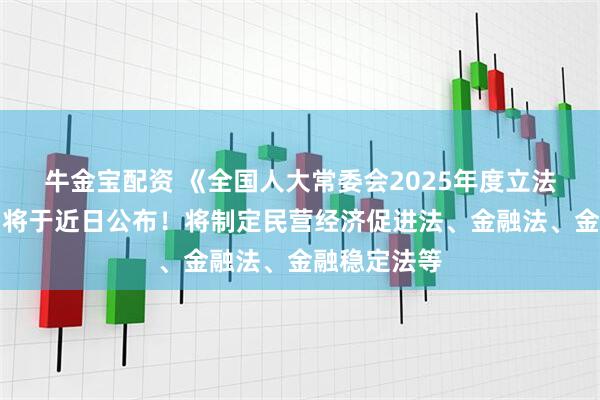 牛金宝配资 《全国人大常委会2025年度立法工作计划》将于近日公布！将制定民营经济促进法、金融法、金融稳定法等
