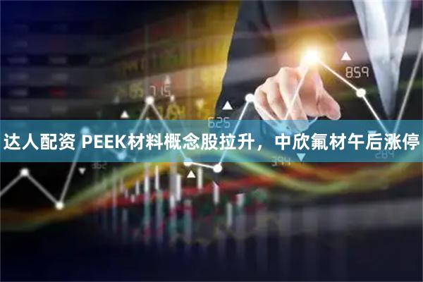 达人配资 PEEK材料概念股拉升，中欣氟材午后涨停