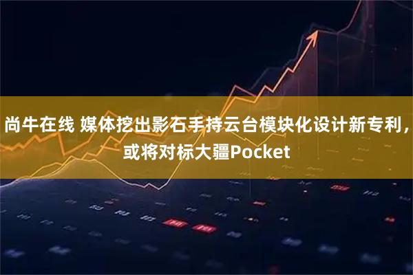 尚牛在线 媒体挖出影石手持云台模块化设计新专利，或将对标大疆Pocket