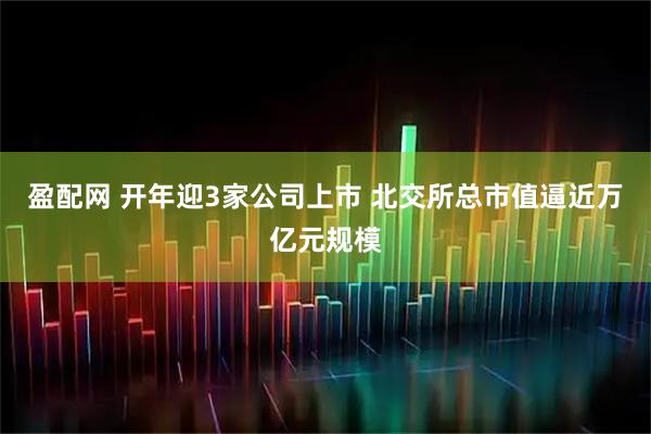 盈配网 开年迎3家公司上市 北交所总市值逼近万亿元规模