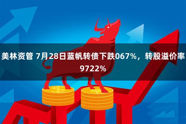 美林资管 7月28日蓝帆转债下跌067%，转股溢价率9722%