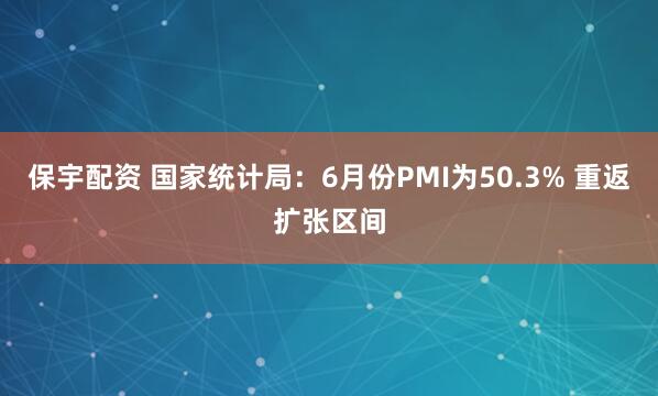 保宇配资 国家统计局：6月份PMI为50.3% 重返扩张区间